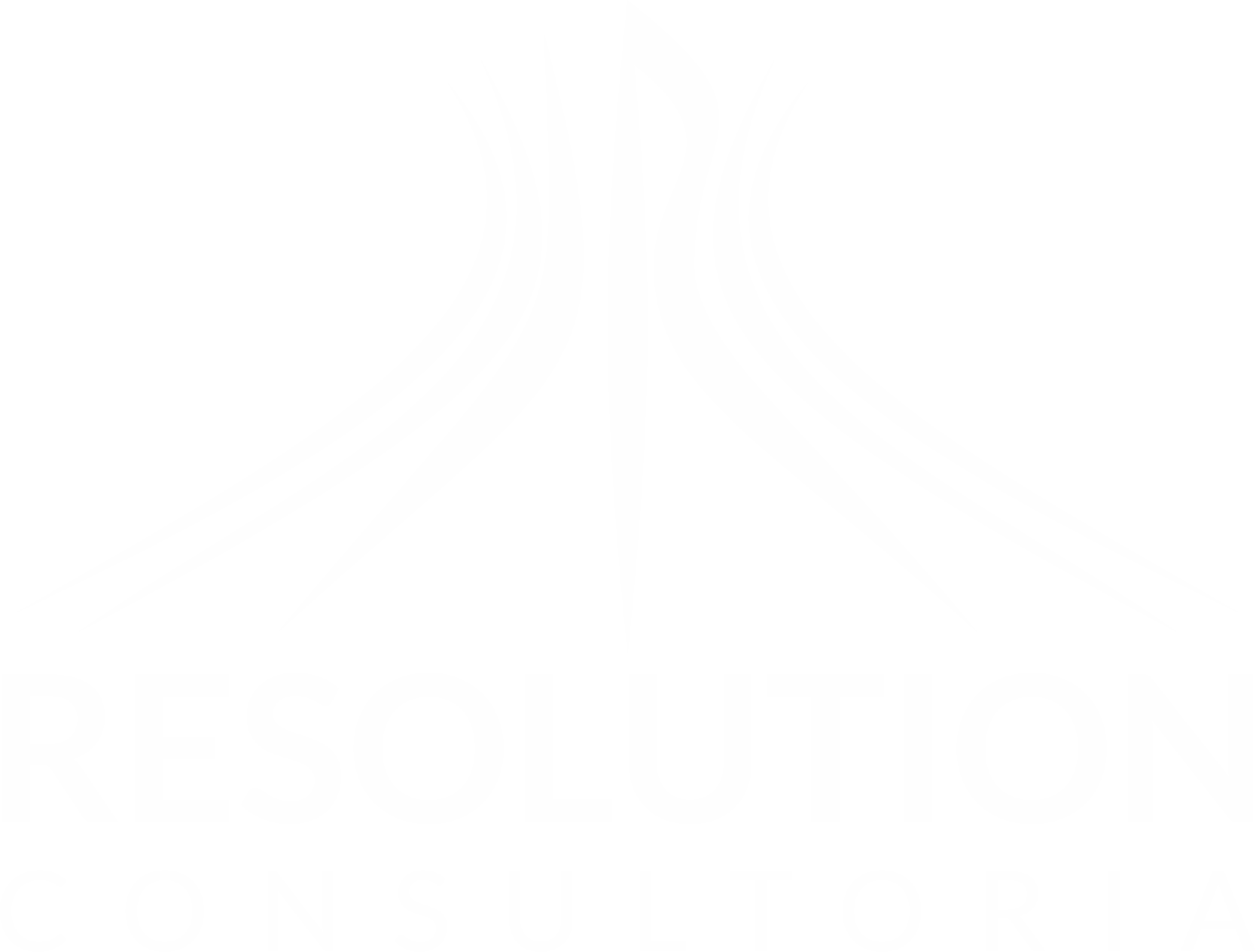 Resolution Consultoria